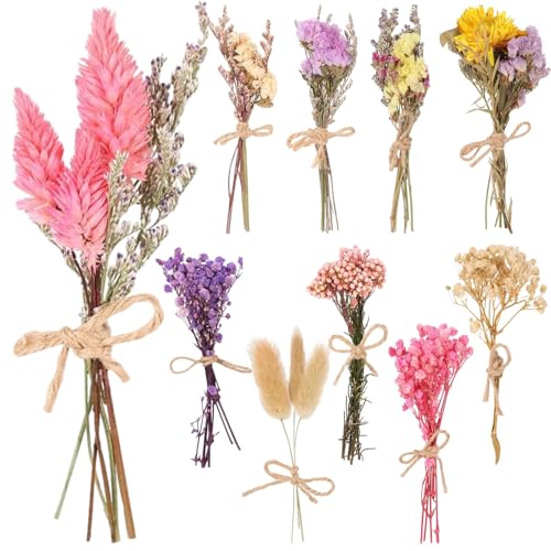 10 ramos de flores secas pequeñas para decoración y manualidades miniatura 5