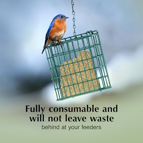 Image of C&S Mealworm Delight No Melt Suet Dough, Suet Cakes for Wild Birds Including Robins, Blue Jays, Woodpeckers, Wrens, Bluebirds and More, 11.75 Ounces, Pack of 8