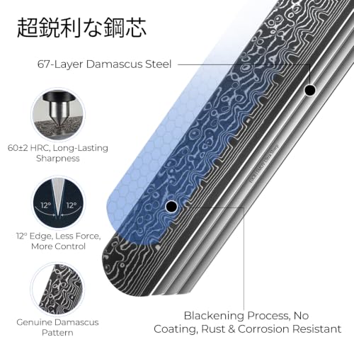Image of FINTISO Brisket Knife 11.6 Inch, 67-Layer Damascus Steel Carving Knife for Meat, Razor Sharp Japanese Slicing Knives for BBQ Roasts, Turkey, Ergonomic Full Tang G10 Handle - Zeus Series
