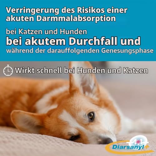 Diarsanyl Plus | Doppelpack | 2 x 10 ml Injektor | Paste zum Eingeben in das Maul | Kann zur Linderung akuter Resorptionsstörungen des Darms bei Katzen und Hunden beitragen