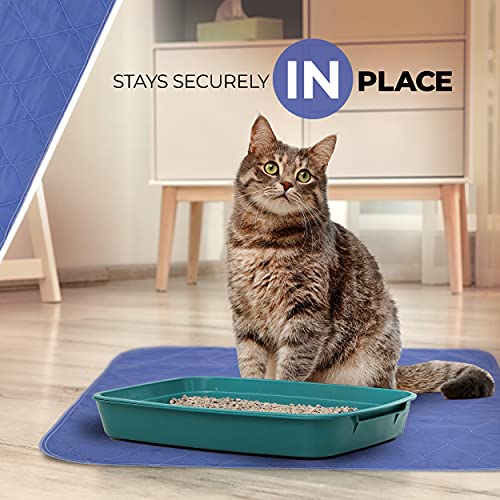 Image of Beck's USA Made Reusable Pet Pee Pads for Dog & Cat Pee Problems|Advanced Leak Free Design + Color Change Wetness Indicator| 1 Pad= 500 Disposable |Crate Training Waterproof Puppy Pad or Cat Pee Pad