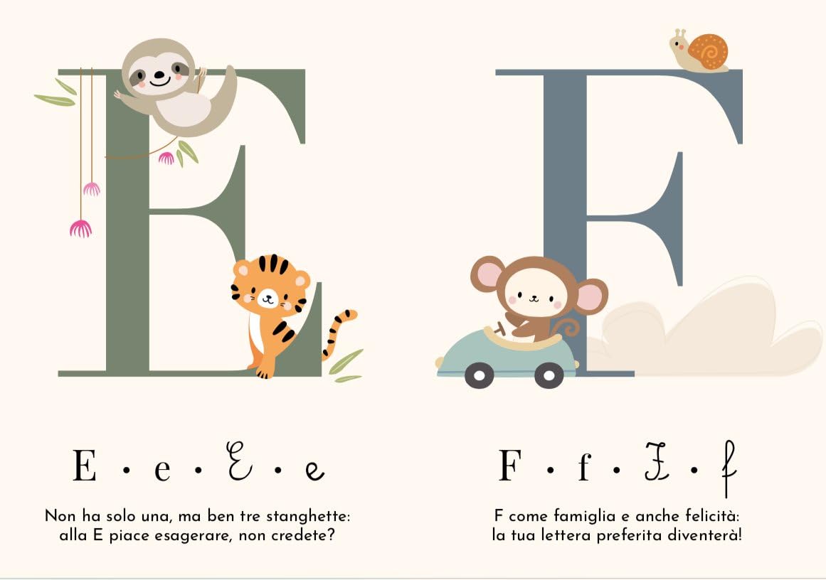 L'alfabeto. Le mie prime carte. Ediz. a colori. Con 30 carte