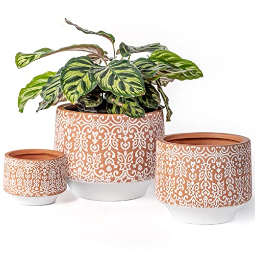 YBX - Macetas de cerámica de 8 pulgadas, 6 pulgadas, 4 pulgadas con agujeros de drenaje, maceta bohemia para decoración del hogar, maceta de terracota para plantas de interior, terracota y blanco