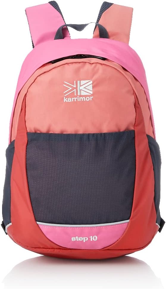 ワンタメスターライトユニット説明書付 デコセット2個パピスタチェーン