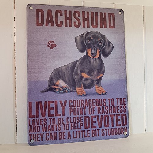 Dachshund Perro Salchicha placa metálica para la pared Decor con texto en inglés  LIVELY valiente dedicado...