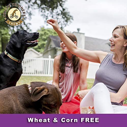 Cloud Star Chewy Tricky Trainers, Liver Flavor, 14-Ounce Pouch #TOP7