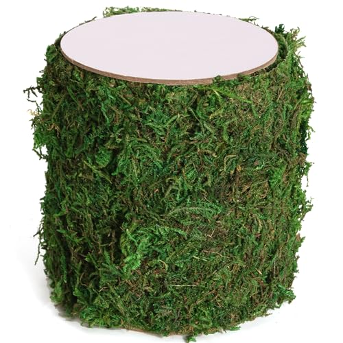 USMOLA Moss Roll, Dried Moss for Crafts, Moss...
