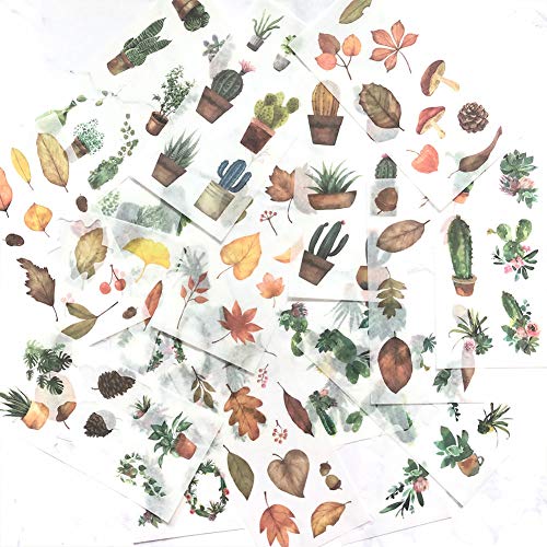 image for 1000Art Nature Stickers Set(18 Sheets / 200+) Fall Leaves Cactus Plant