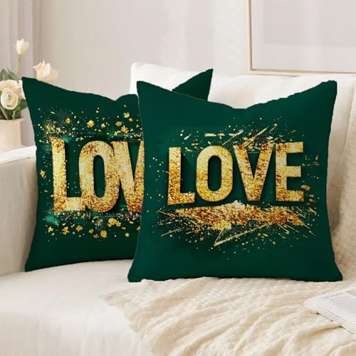 Housse de coussin vintage en lin imperméable vert double face lot de 2