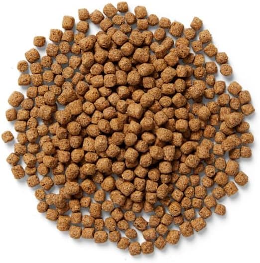 DRS. Foster and Smith Economy Staple Koi Food, 20 lbs.