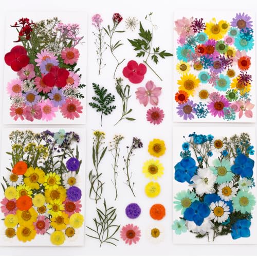 Kit de flores secas prensadas para manualidades miniatura 1