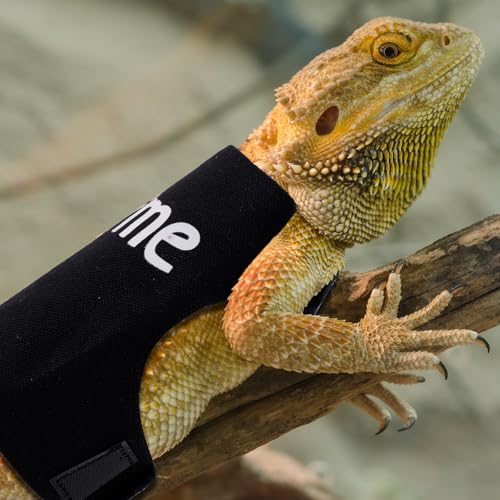 Image of Bearded Dragon Leash and Harness Set, Cute Adjustable Lizard Reptile Harness Costume Clothes with Short Leash for Small Pets Animal Amphibians Chameleons Accessories Outdoor Walking (Style B, Black)