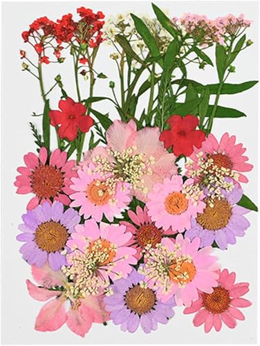 Flor seca pequeña para decoración DIY miniatura 1