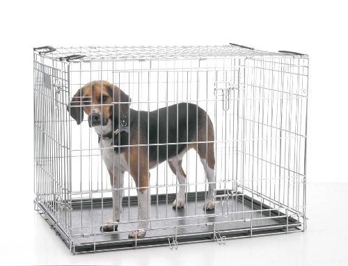 savic dog crate