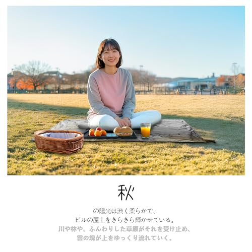 Siegvoll 折りたたみレジャーシート コンパクト グレー