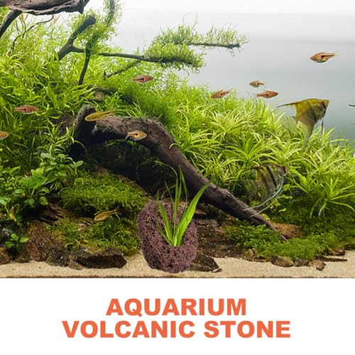 Image of 6 pcs Lava Rock for Aquarium, Volcanic Rocks Small Dark Brown Volcanic Pumice Stones, Aquarium Stones Aquascaping for Fish Tank Decoration, 3.93x2.75x1.57inch