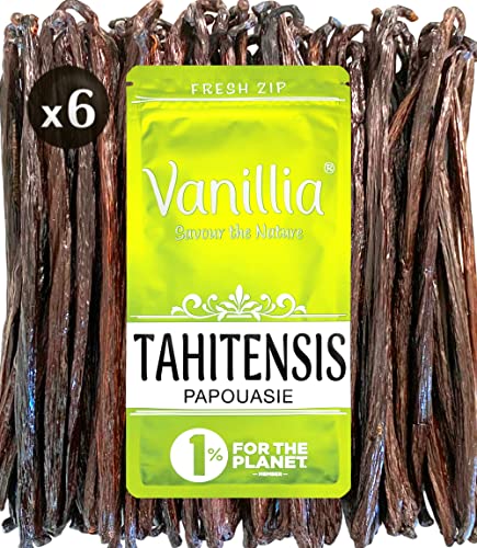 6 Baccelli di Vaniglia Tahitensis - Gran Selezione della Papua 2022 - Baccello XL 15/18cm - Sacchetto FreshZIP