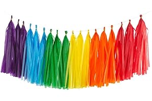 Rainbow Tassel Garland: Elevate Celebrations with Vibrant Decor