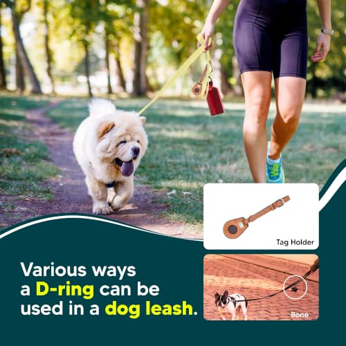 Image of Adil's Biothane Waterproof Dog Collar, Dog Leash & Collar Leash Combo | Heavy Duty TPU Coated Webbing | Adjustable Quick Release Buckle | Odour Resistant (Lemon Green, M-18, Leash Only)
