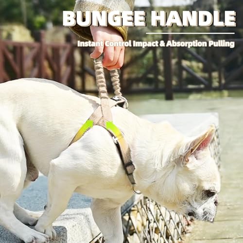 Image of PUPTECK No Pull Dog Harness Small Sized Dog, Adjustable Reflective Pet Vest Harness with Bungee Handle, Escape Proof No Choke Harness for Small Dogs Walking Training, Beige S