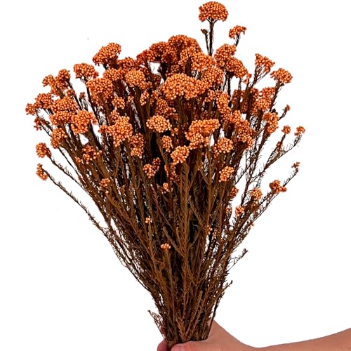 Ramo Natural de Flores Secas de Mijo de 17 Pulgadas miniatura 1