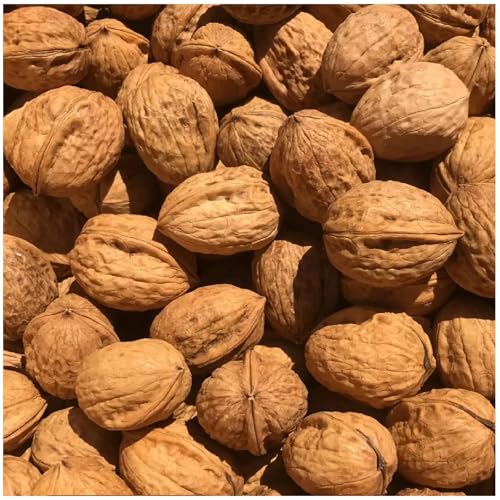 Nueces en cáscara Nueces enteras crudas Akhrot Nuts HerbsnSpiceit (200 g)