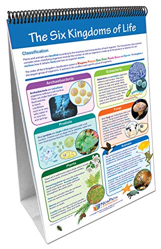 Image of NewPath Learning STAAR Grade 8 Organisms & Environment Curriculum Mastery Flip Charts