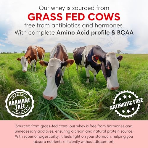Image of Foodstrong Whey Protein Isolate + Concentrate, 100% Hormone Free Grass-Fed Whey, 26G Protein & 6.6G BCAA, Dutch Chocolate, With Turmeric & Natural Digestive Enzymes, 1KG