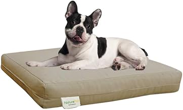 Amazon Com Organic Dog Bed