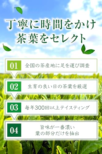 春芳茶園 八女茶 深蒸しかぶせ煎茶 80g