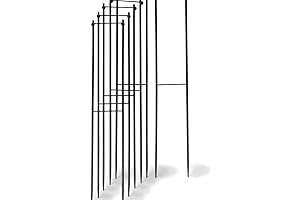 Super Hoop Bases - Set of 6: Game Highlights Progressed to A New Peak