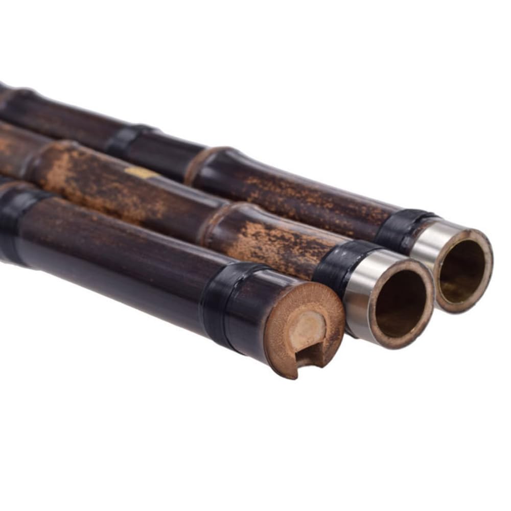 Xiao profesional de bambú morado, instrumento de viento de madera de tres secciones, rendimiento de práctica para principiantes, instrumento étnico clave G/F de 8 agujeros (tecla F)