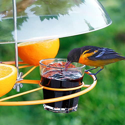 image for Twinkle Star Oriole Bird Feeder, 3 Types Food, Orange Halves Fruit, Dr