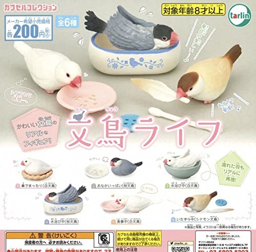 Amazon.co.jp: 鳥ミニチュアフィギュア 文鳥ライフ ガチャガチャ 5