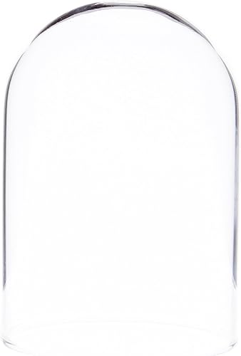 Miniatura 2 de Plymor Mini cúpula de cristal de 2 x 3 pulgadas (base de chapa de madera negra)