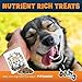 PUPDAWGS Beef Lung Dog Training Treats | Dog Dental Chews | Healthy Dog Treats Training | Low Calorie Dog Treats | Dehydrated Dog Treats Natural | Beef Lung Training Treats for Dogs (8oz Package)