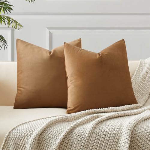 Image of JUSPURBET Light Brown Couch Pillow Covers Set of 2 Decorative Velvet Throw Pillow Covers for Modern Farmhouse Home Decor Soft Lumbar Cushion Covers with Hidden Zipper for Sofa Bed,14x14 inch