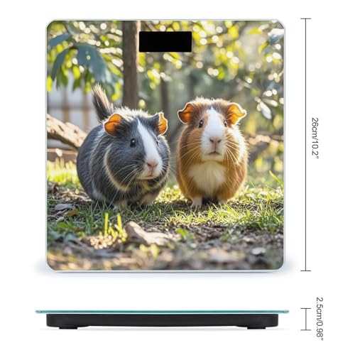 Báscula digital para baño con vidrio templado y pantalla LCD miniatura 2