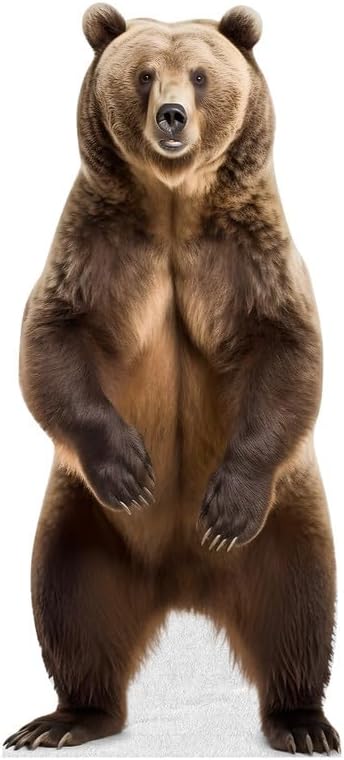 Bear - Life Size Cardboard Cutout Standup People with Support Standee | Animals -1