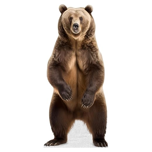 Bear - Life Size Cardboard Cutout Standup People with Support Standee | Animals -1
