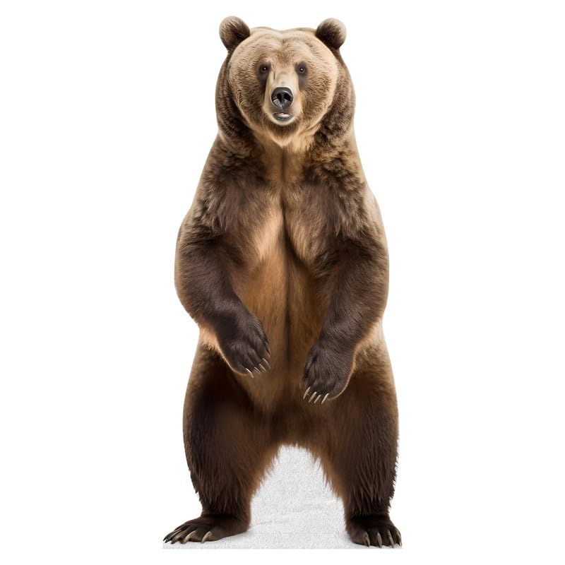 Bear - Life Size Cardboard Cutout Standup People with Support Standee | Animals -1