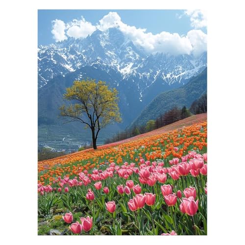 G Xm[}Ee G |Lbg yCgoCio[  Lbg  ANG̋ M LoX 60 x 80cm EH[A[g  LoXGpLrO[Q̉Ƃ̑ Ǐ Mtg JLYH-3982