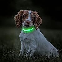 Vista 8 de BSEEN Collares iluminados para perros, collar recargable para cachorros, collar ajustable con brillo para perro, collar reflectante para mascotas