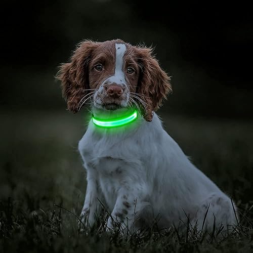 Miniatura 8 de BSEEN Collares iluminados para perros, collar recargable para cachorros, collar ajustable con brillo para perro, collar reflectante para mascotas,