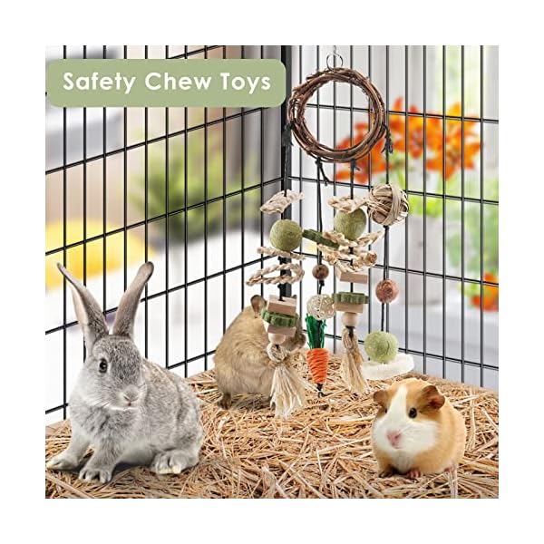 ERKOON Kaninchen Spielzeug, Rabbit Toy Kaninchenspielzeug Beschäftigung,Hasen zubehör Käfig Hängende Kauspielzeug, Hamster, Meerschweinchen – Bild 4