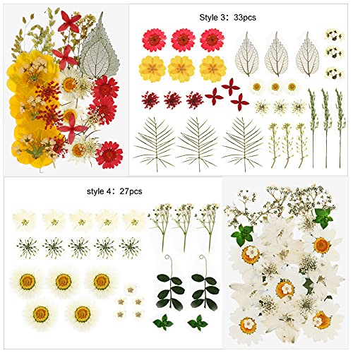 127 Stuks Echte Gedroogde Geperste Bloemen Wikay Natuurlijke Bloemen Geperste Bloem Blad Voor DIY Hars Sieraden Maken… - Afbeelding 5