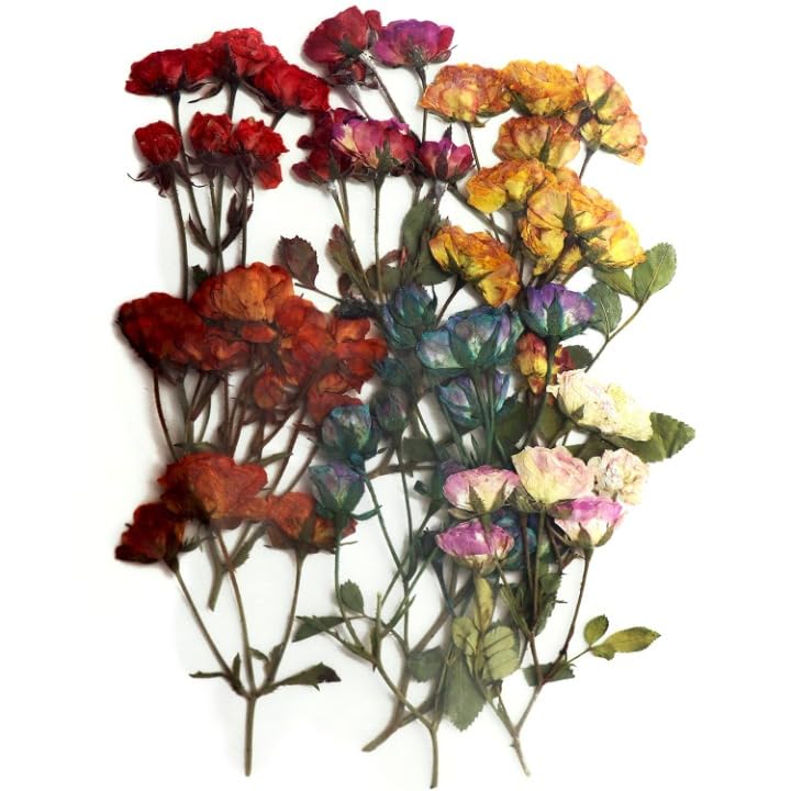 yellowcult Natural Real Dried & PRESSED Four Seasons Rose Flowers for Art Craft - Multicolor for Soap, Candle, Scrapbooking, DIY, Resin Jewelry, Pendant - Four Seasons Rose Flowers [Luxury Multicolor]-picture-26