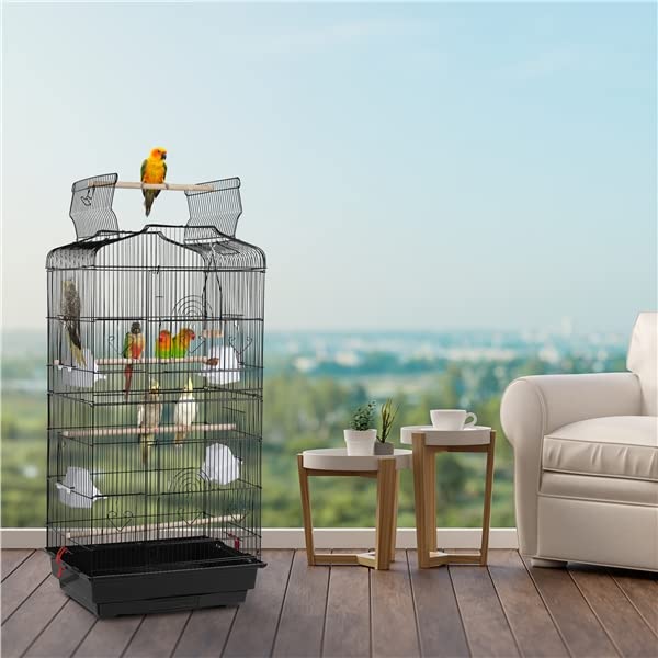 Cage à Oiseaux Décorative en Métal avec Toit Ouvrable, Balançoire, Perchoirs, Plateau Coulissant