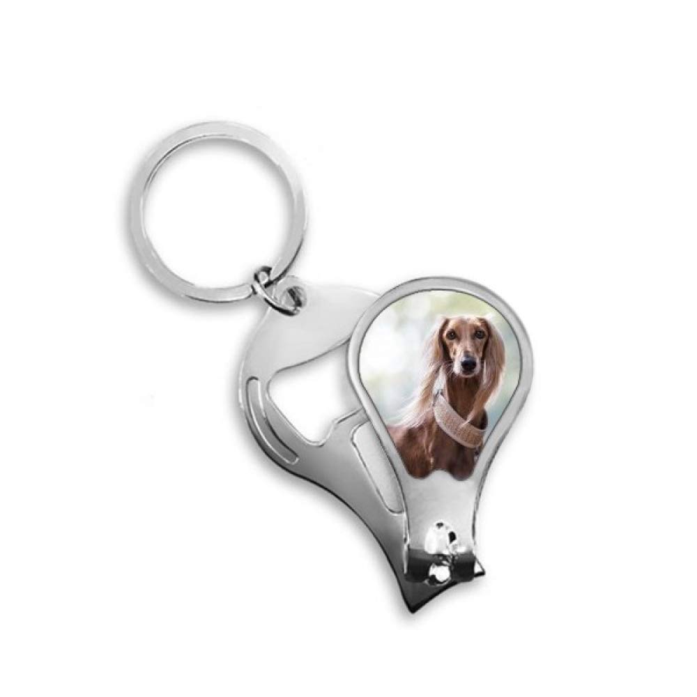 Coupe-ongles pour chien et animal de compagnie DIYthinker ciseau manucure canine - 4