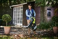RYOBI 3000W Elektro-Laubsauger RBV3000CESV, Luftmenge16 m³/min, Luftgeschwindigkeit 375km/h, Fangsackgröße 45L, (Laub-) Häckselverhältnis 16:1 – Ansicht 5